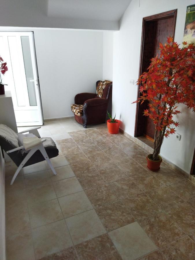 Apartmani Bellami Bečići Extérieur photo